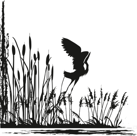 Moultrie Creek Heron - Cattail Silhouette (468x467), Png Download