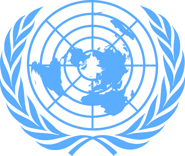 Is State Sovereignty Taken By The Fed Being Yielded - United Nations (640x542), Png Download