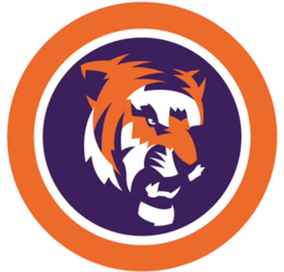 Clemson Tigers Football Clemson University College - Clemson Tigers Football (1000x800), Png Download