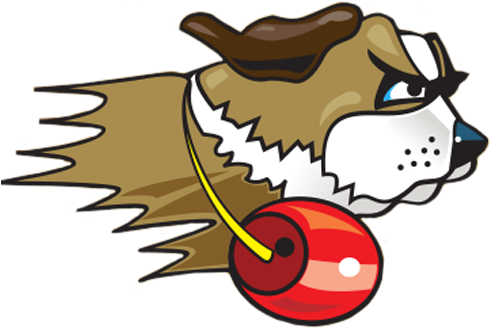 Team Logo - University Of Saint Francis Logo (500x500), Png Download