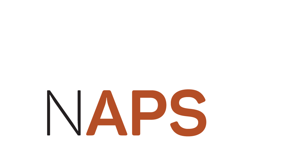 I Sec Naps Logo - Read-only Memory (1002x599), Png Download