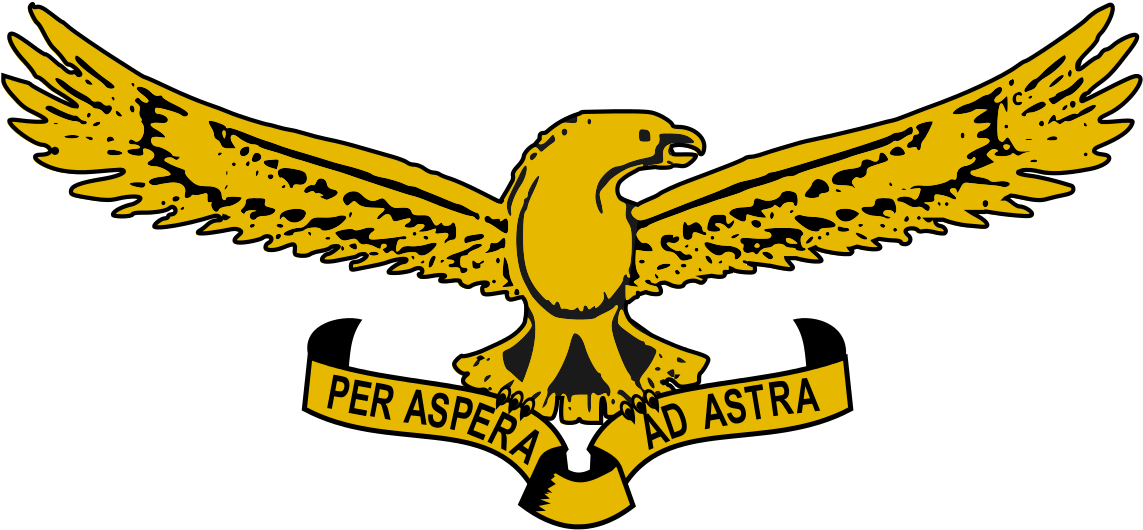 South African Air Force Logo (1200x591), Png Download