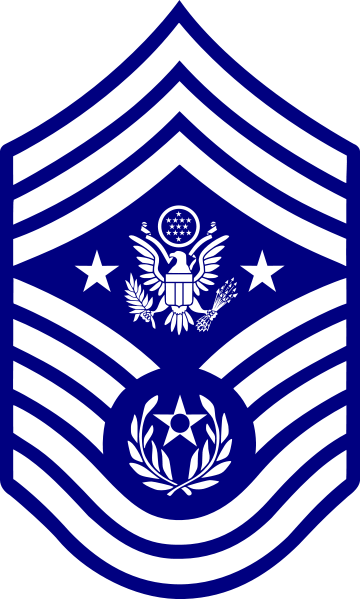 Airforce E9 Chief Master Sergeant Of The Air Force - Chief Master Sergeant Of The Air Force Insignia (360x599), Png Download