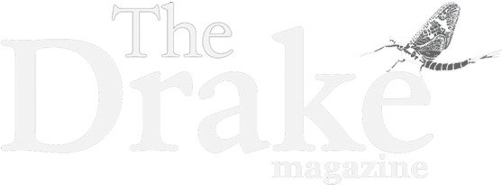 Drake Magazine - Dark N Lovely Logo (600x251), Png Download