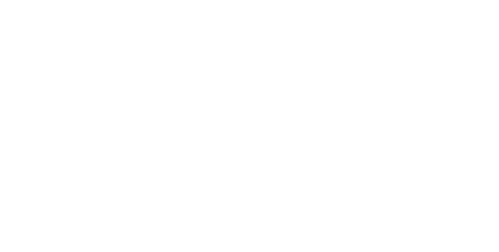Toro Bravo Inc Logo - Bravely Default (728x380), Png Download
