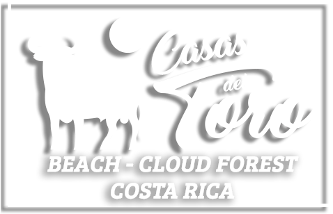 Welcome To Casas Del Toro - Casas Del Toro Playa Flamingo (491x319), Png Download
