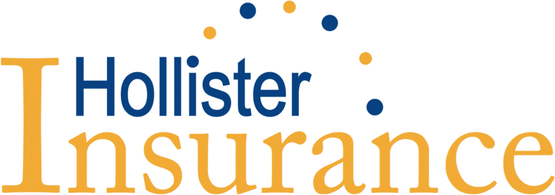 Hollister Insurance Brokerage - Birla Morton Tomato Paste, 900g (800x281), Png Download