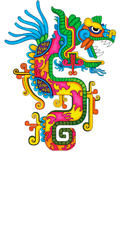 Welcome To Tequila Cabo Maya - Cabo Maya (550x873), Png Download