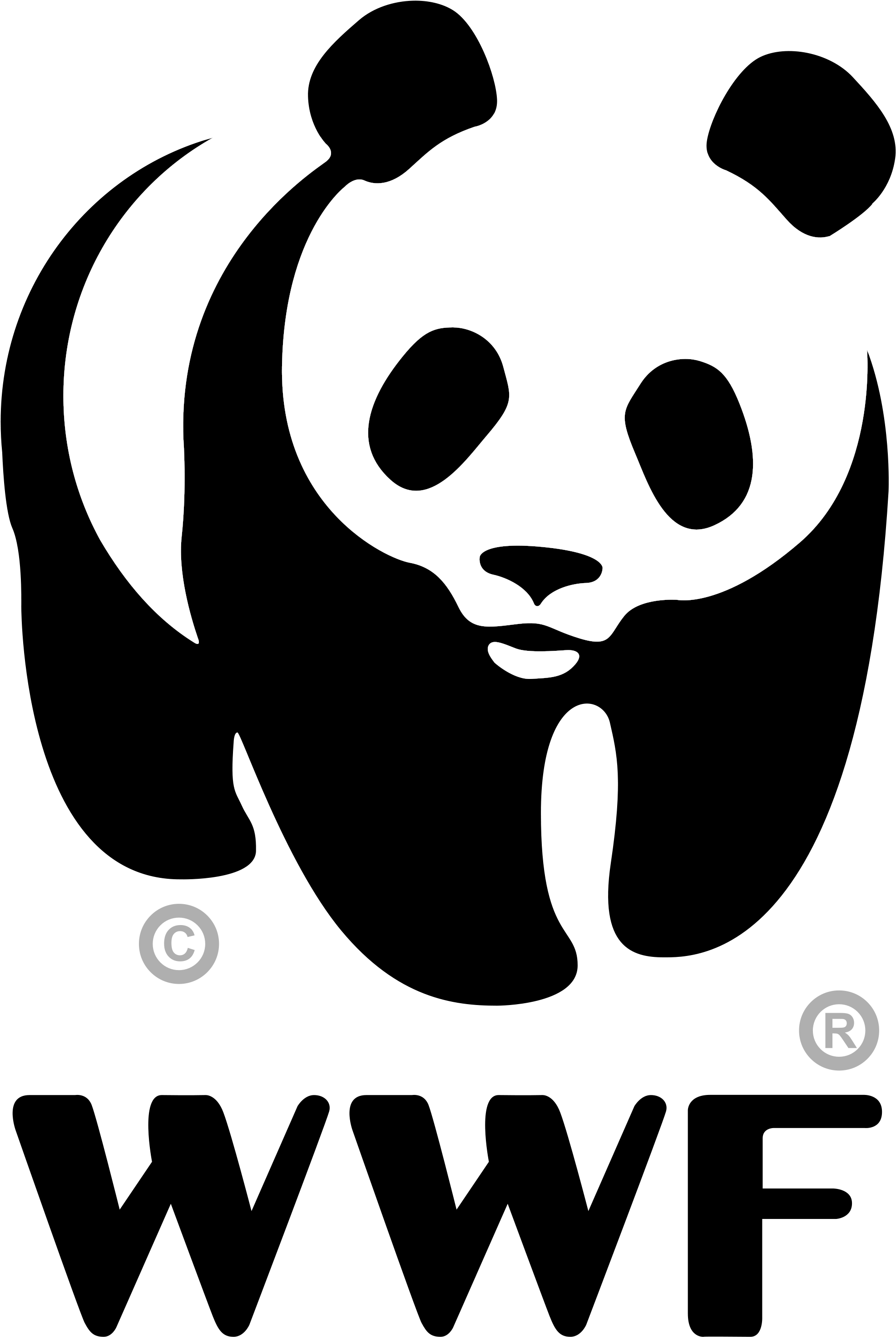 2000px-wwf Logo - Svg - World Wide Fund For Nature (2000x2966), Png Download