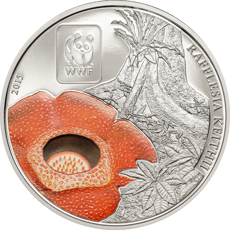Wwf Rafflesia - Central African Republic (910x910), Png Download