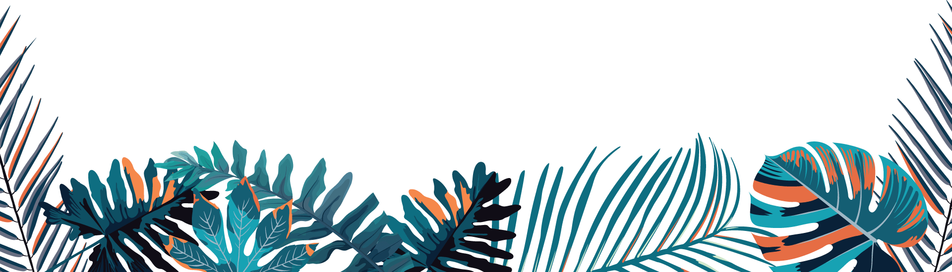 Colorado Spruce (1920x550), Png Download