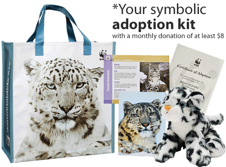 Snow Leopard Adoption Kit (460x333), Png Download