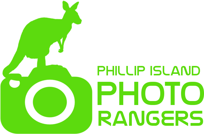 Photo Rangers Logo Roo Green - Extra Fm (1000x603), Png Download
