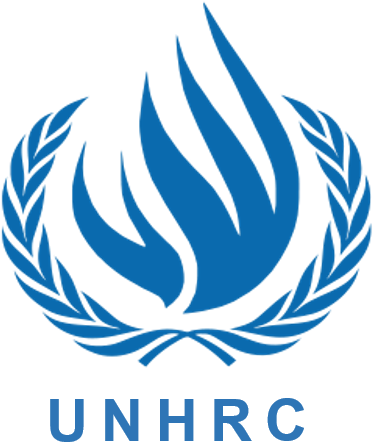 Increase Over States Without Copyrights - United Nations Human Rights Logo (396x501), Png Download