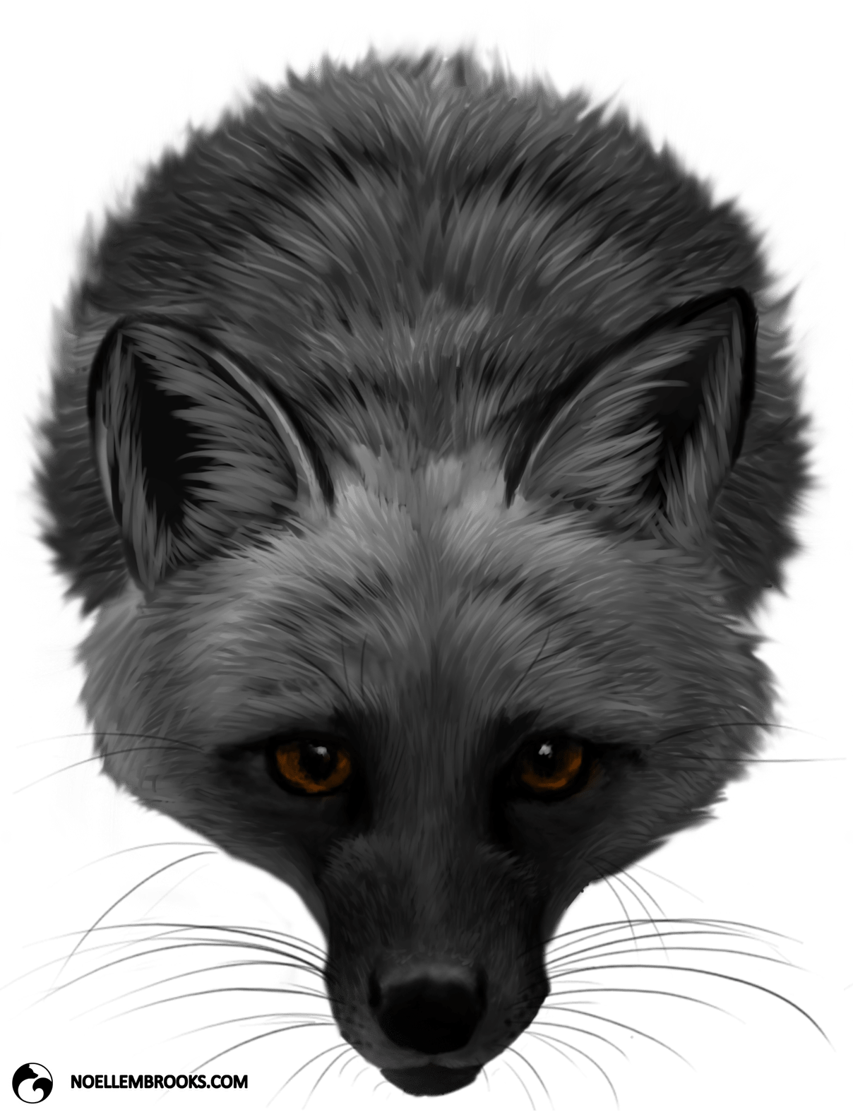 Fox Domestication And Pet Ownership - Domesticated Red Fox (1208x1575), Png Download