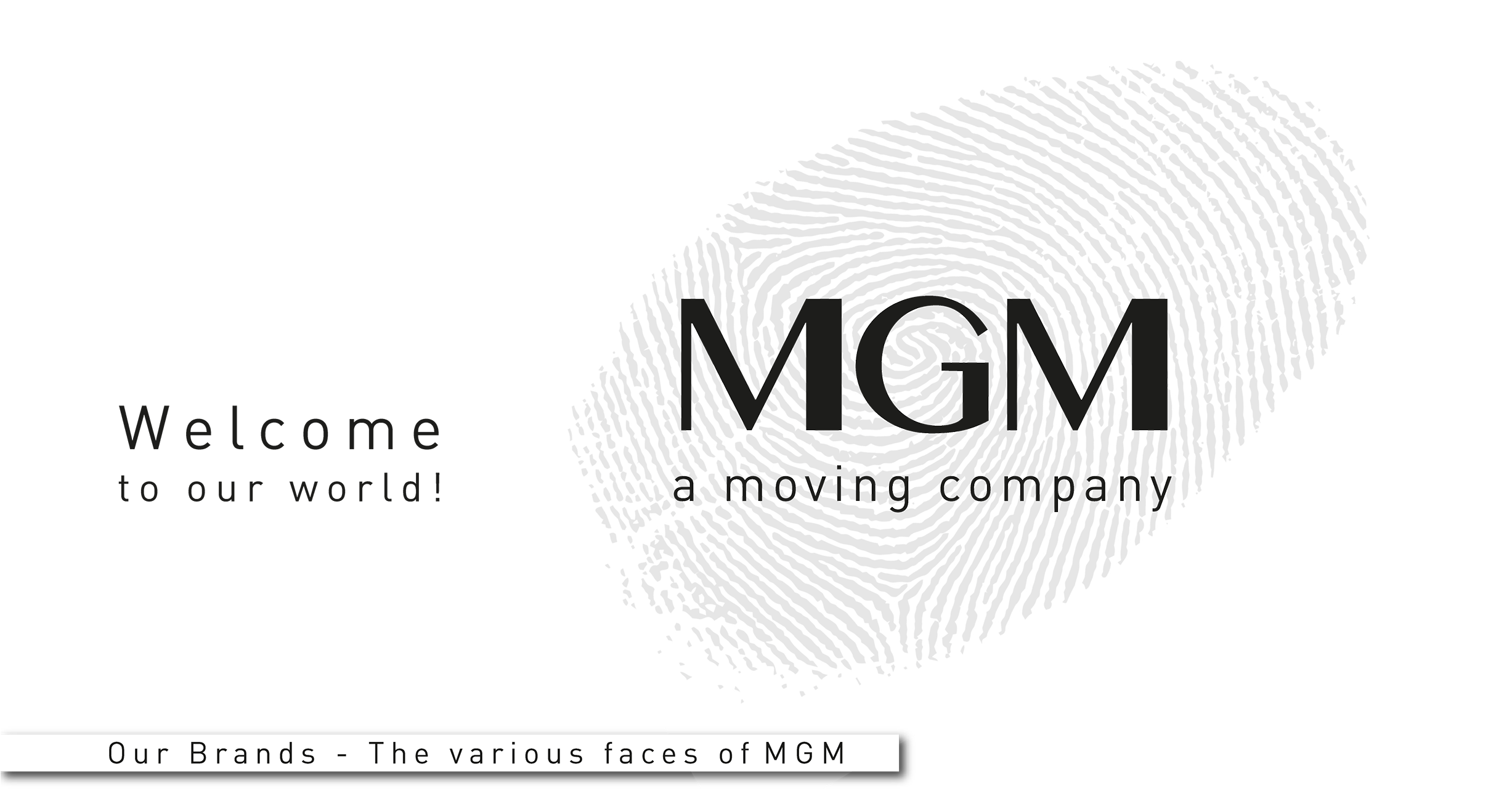 Mgm Spa Is An Historic Company Of The Italian Sports - M.g.m. S.p.a. (3000x1299), Png Download