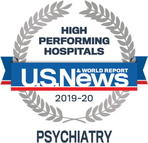 News & World Report High Performing Badge -orthopedics - Us News High Performing Hospitals (495x477), Png Download