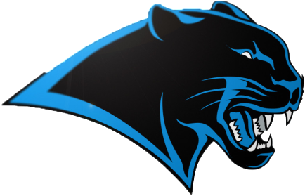 Panthers Logo Png - Couch Rider Report (900x600), Png Download