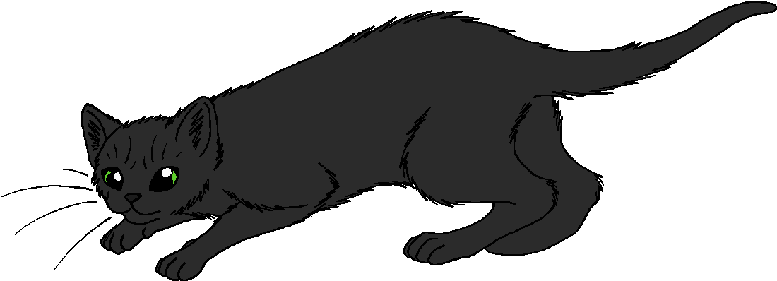 Nightwing - Warrior Cats Crowtail (1176x482), Png Download