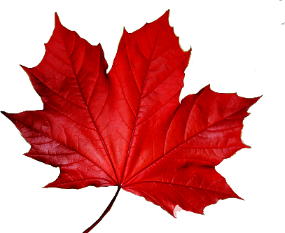 Canadian Maple Leaf Png Download - Cap With A Maple Leaf Symbol, Adult Unisex, White And (407x333), Png Download