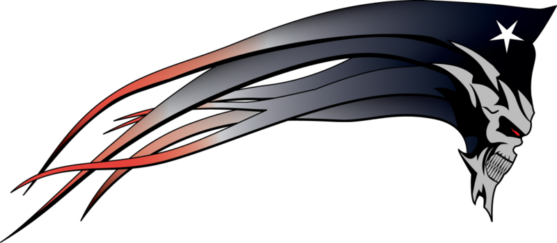 New England Patriots Logo, Go Pats, Football Baby, - New England Patriots Skull Logo (800x350), Png Download