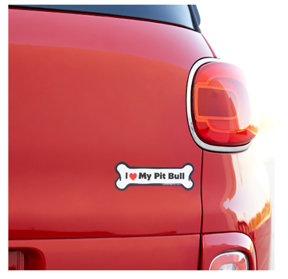 A Gift For The Expressive - Pit Bull (800x701), Png Download