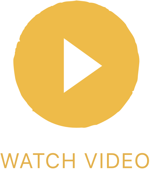 Make Music With Pets - Food (513x576), Png Download