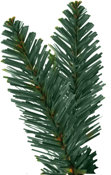 Christmas Tree Royal Blue - Star 450-piece Calgary Tree Lamps, Green (600x600), Png Download