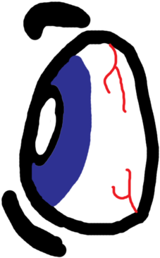 Dramatic Eye Back (320x480), Png Download