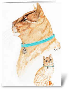 From A Kitten To Cat Greeting Card - Domestic Short-haired Cat (350x396), Png Download