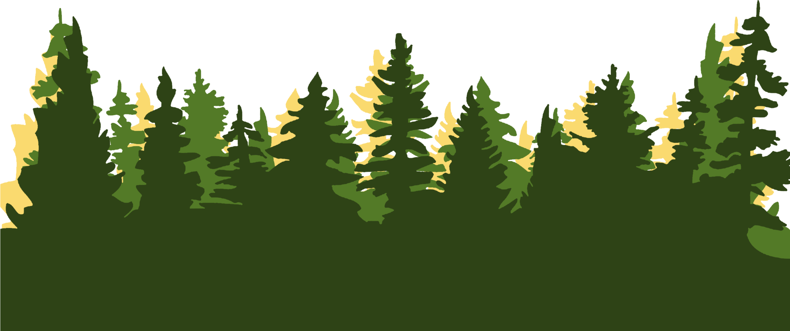 Register Here - Christmas Tree (2550x1114), Png Download