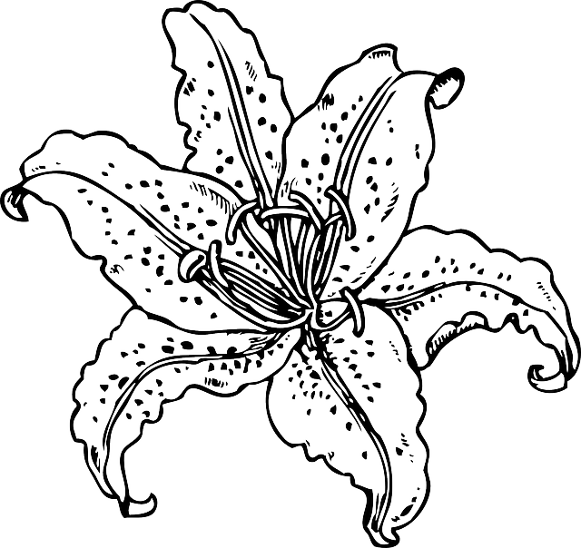 Black, Plants, Flower, White, Plant, Tiger, Tattoo - Flower And Plant Coloring Book (640x604), Png Download