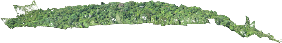 Aerial Surveying And Mapping Tulsa Oklahoma - Aerial Tree Line (1000x236), Png Download