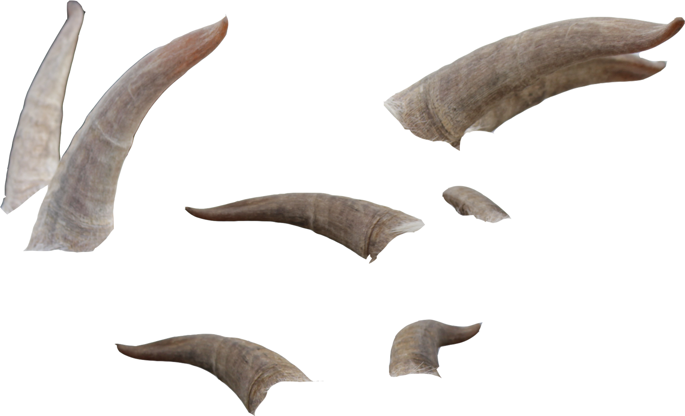 Goat Horns Png - Horns Png (1095x730), Png Download