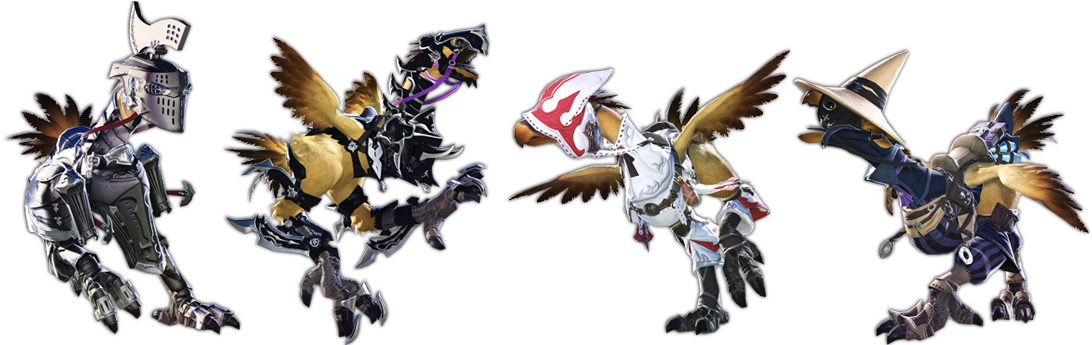 Chocobos Final Fantasy Xiv, Finals, Poses, Final Exams - Chocobo (1160x344), Png Download