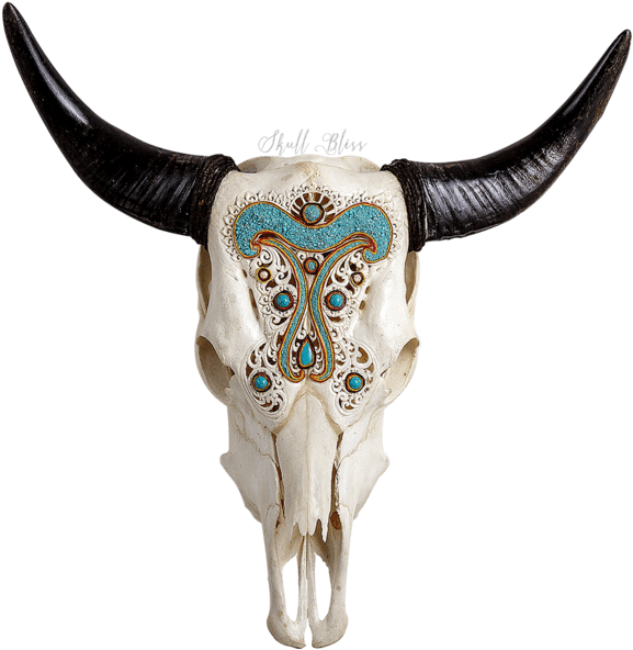 Carved Cow Skull // Xl Horns - Cattle (645x645), Png Download