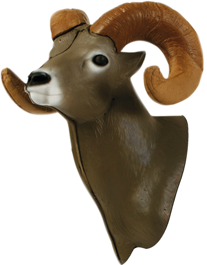 Bighorn Sheep 3d Archery Target Replacement Head - Archery Animal Targets (600x600), Png Download