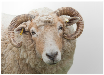 Janod Farm Lovely Puzzle (400x400), Png Download