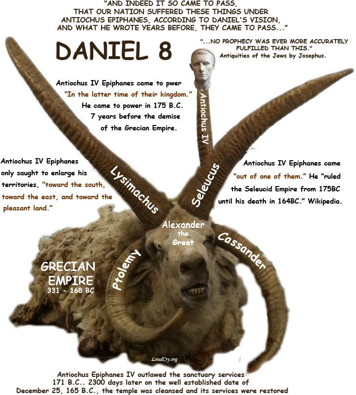 Horns - Carneiro E Bode Daniel 8 (746x824), Png Download