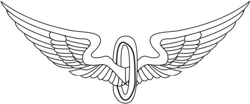 Wings,bird Wings,eagle Wings,angel Wings,tattoo,free - Eagle Wings (500x250), Png Download
