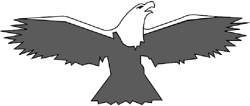 Mb Image/png - Eagle (800x400), Png Download