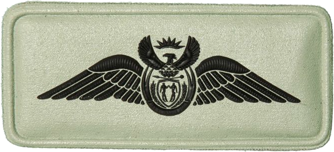 Sandf Qualification Pilots Wings 0-500 Hrs Badge Embossed - Golden Eagle (682x324), Png Download