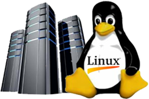 Linux Hosting Clipart Hosting Png - Linux Aws (800x800), Png Download