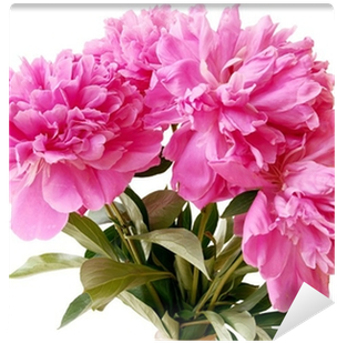 Peony (400x400), Png Download