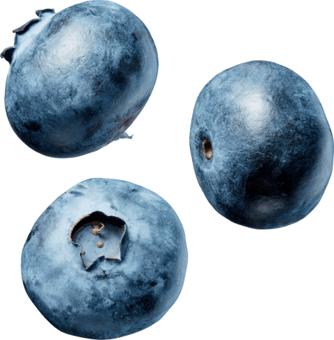 Free Png Blueberry Png Images Transparent - Devotion Nutrition Flex Flavors Blueberry Sky 30 Packets (480x489), Png Download