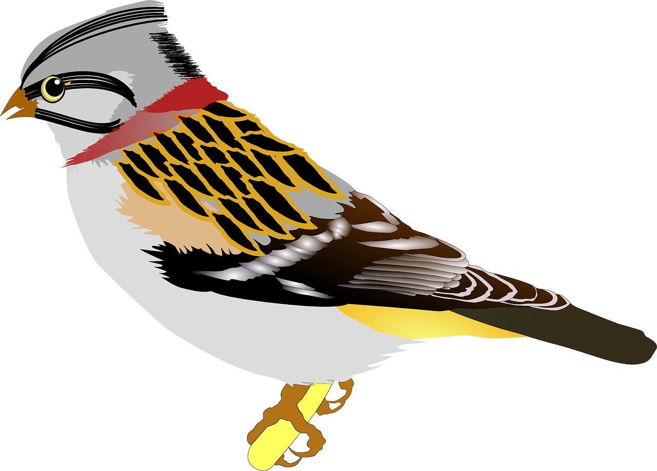 Vector Bird Sparrow - Birds Clip Art (1280x918), Png Download