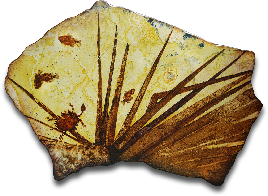 Treasures Of Fossil Lake - Exposures International Gallery (1200x870), Png Download