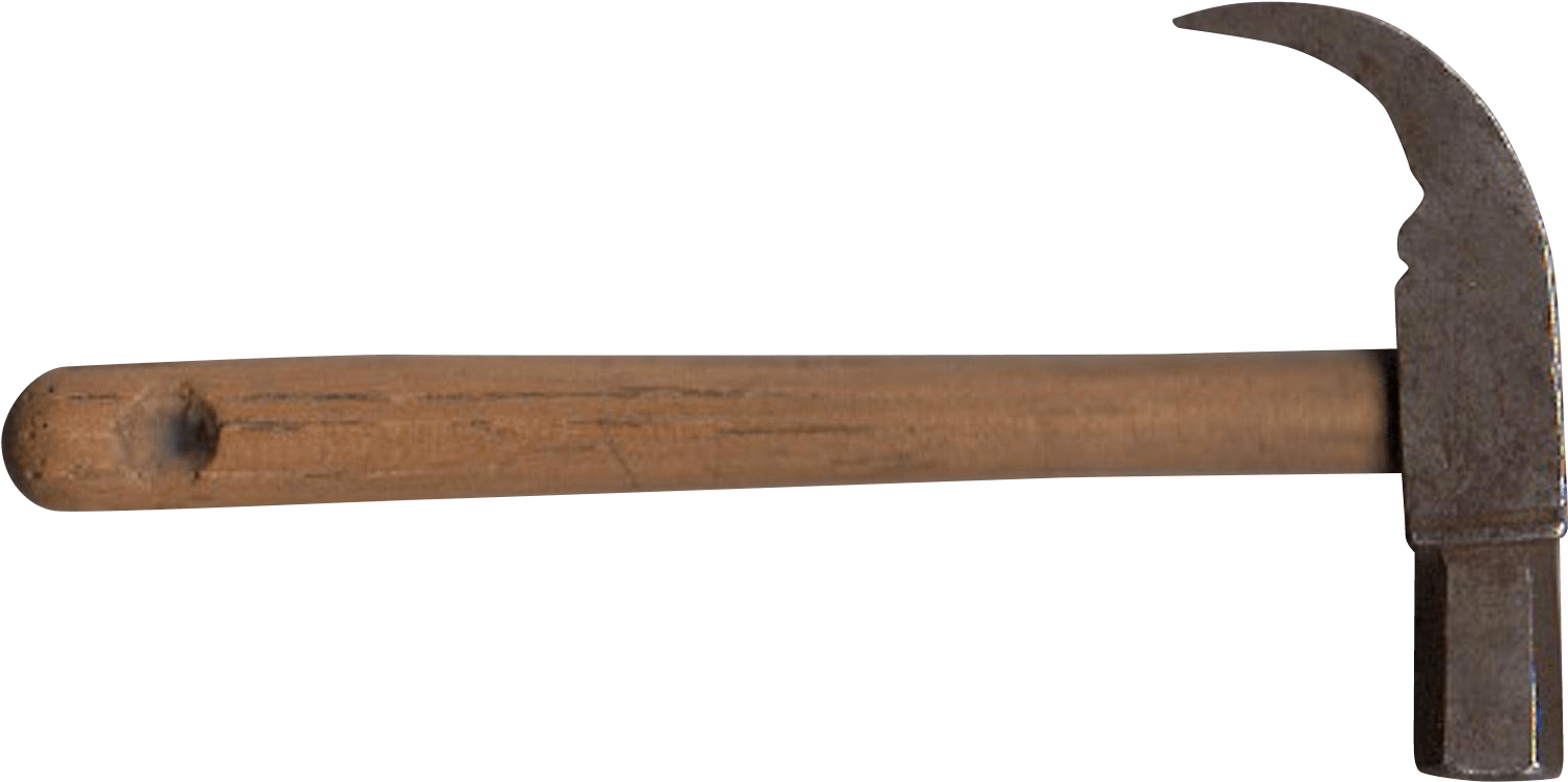 The Concept Of Function Is Ubiquitous In Biology - Plank (1506x809), Png Download