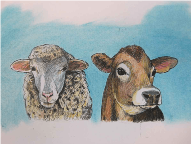 Sheep (380x380), Png Download