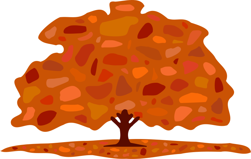 Autumn Tree Free Vector - Autumn Tree Vector Png (800x509), Png Download